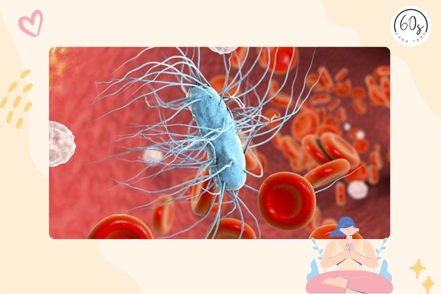 Một số loại virus cũng có khả năng gây ra bệnh nhiễm trùng máu