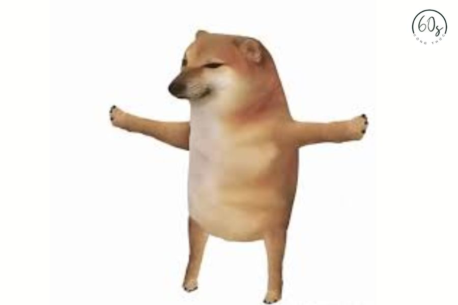 Ảnh meme chó shiba 4